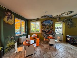 SALA BAR DRAGO SHENRON
